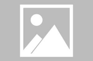 蘑菇影视在线观看盘点：mogutv3种类型，当事人上榜理由极具爆点令人轰动一时